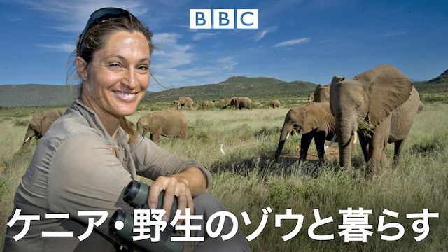 ケニア・野生のゾウと暮らす