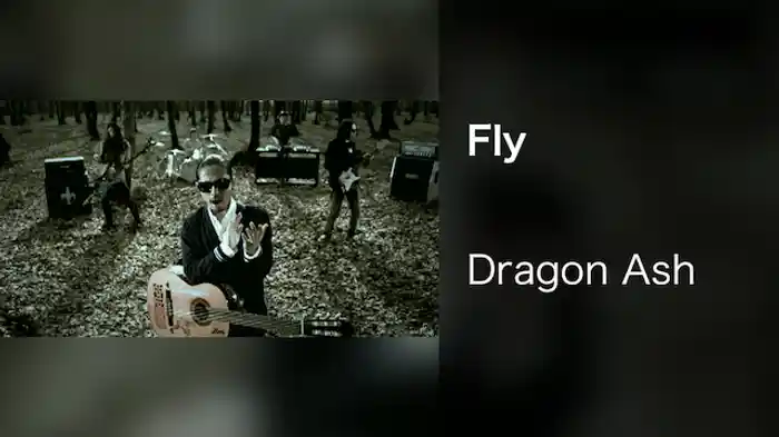 Fly