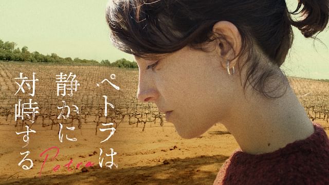 ペトラは静かに対峙する
