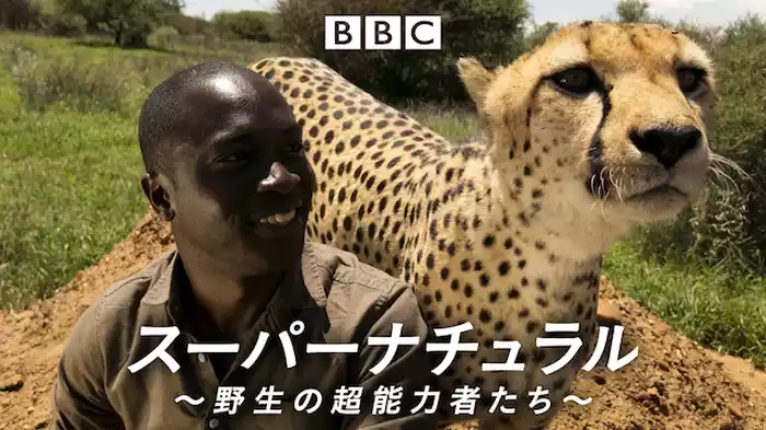 スーパーナチュラル～野生の超能力者たち～