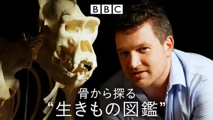 骨から探る“生きもの図鑑
