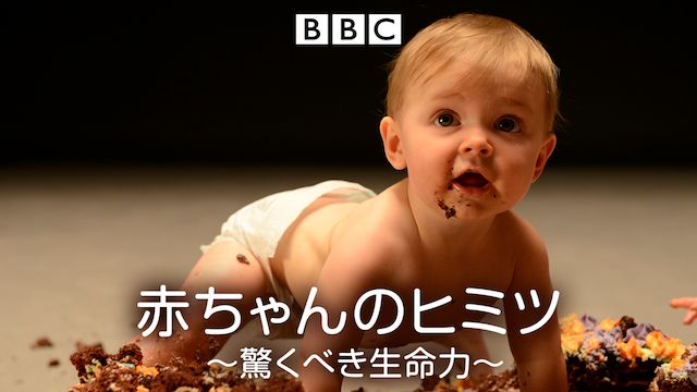 赤ちゃんのヒミツ