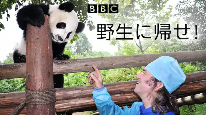 野生に帰せ！