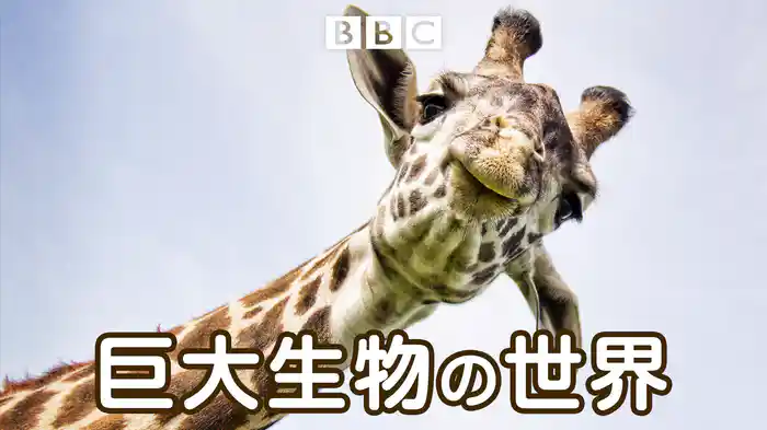 巨大生物の世界
