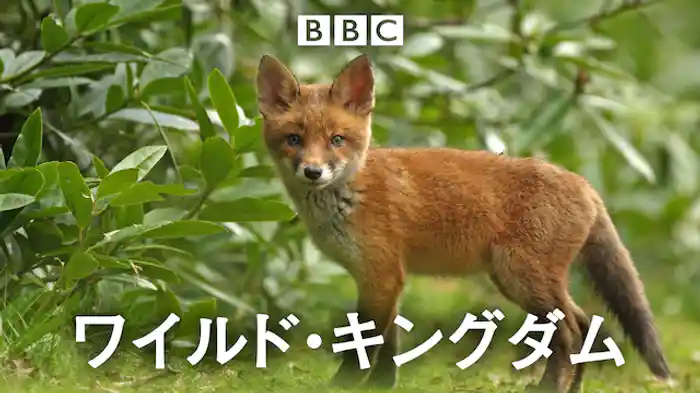 ワイルド・キングダム