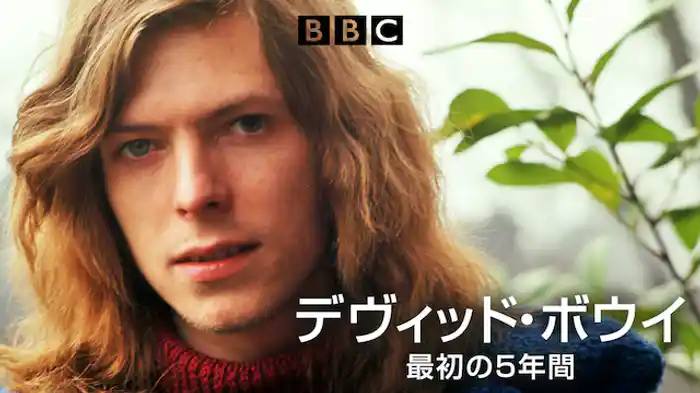 デヴィッド・ボウイ　最初の5年間