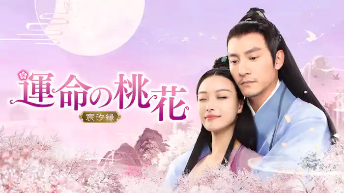 運命の桃花～宸汐縁～