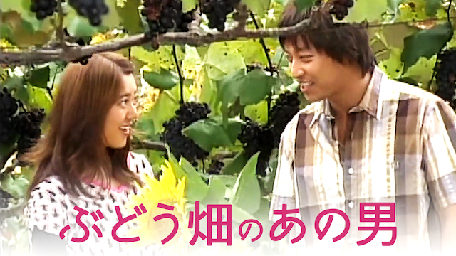 ぶどう畑のあの男(韓流・アジアドラマ / 2006) - 動画配信 | U-NEXT 31 