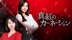 韓国ドラマ『真紅のカーネーション』の日本語字幕版を全話無料で視聴できる動画配信サービスまとめ