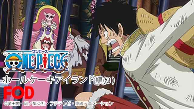 ワンピース ホールケーキアイランド編（３）