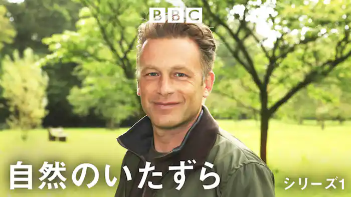 自然のいたずら シリーズ1