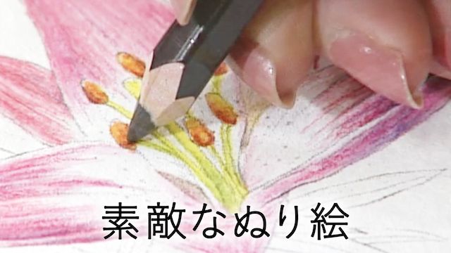 素敵なぬり絵