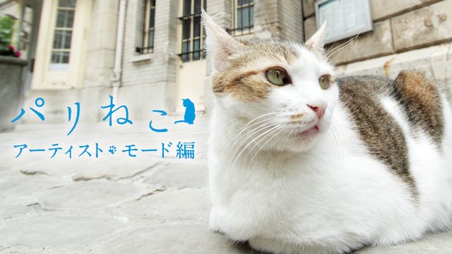 パリねこ アーティスト・モード編