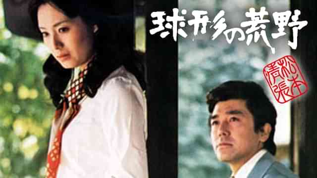 松本清張　球形の荒野