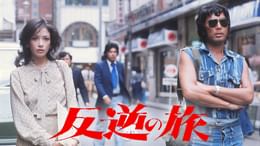 V.マドンナ大戦争(邦画 / 1985) - 動画配信 | U-NEXT 31日間無料トライアル