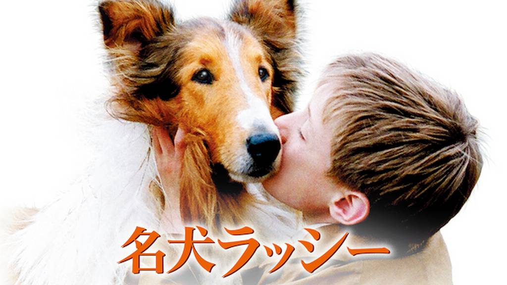 名犬ラッシー(洋画 / 2005) - 動画配信 | U-NEXT 31日間無料トライアル