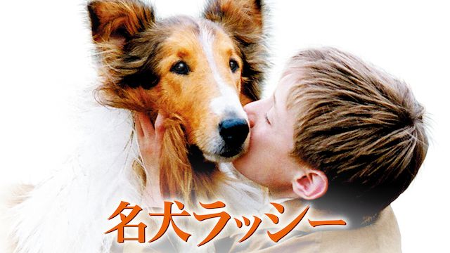 名犬ラッシー(2005年)