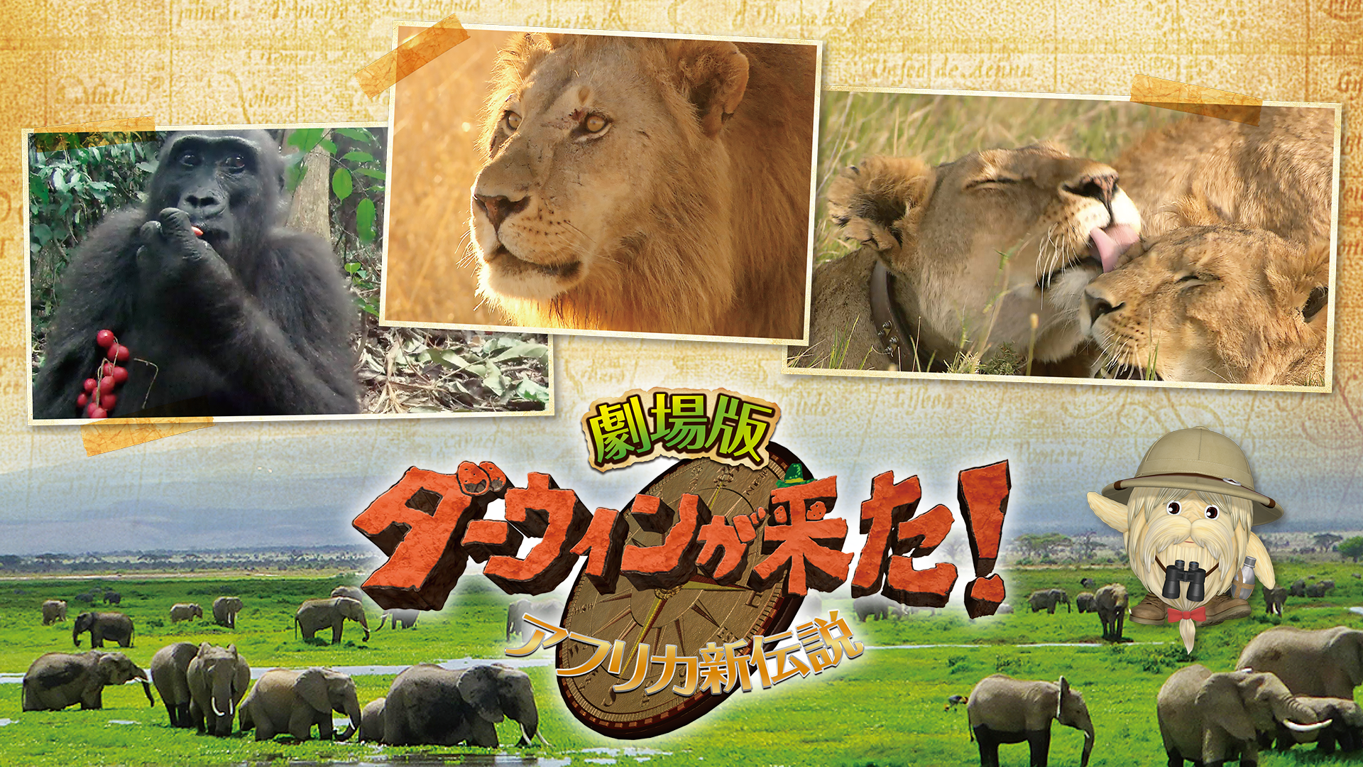 劇場版 ダーウィンが来た！ ～アフリカ新伝説～ - サムネイル
