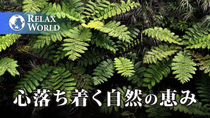 心落ち着く自然の恵み【RELAX WORLD】