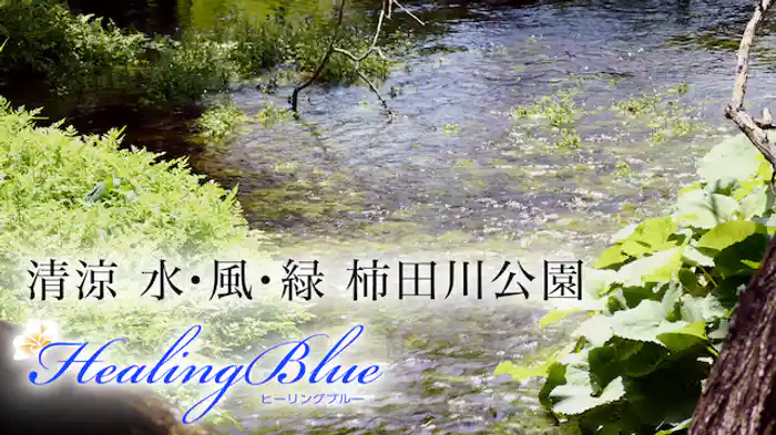 清涼 水・風・緑 柿田川公園【HealingBlue】