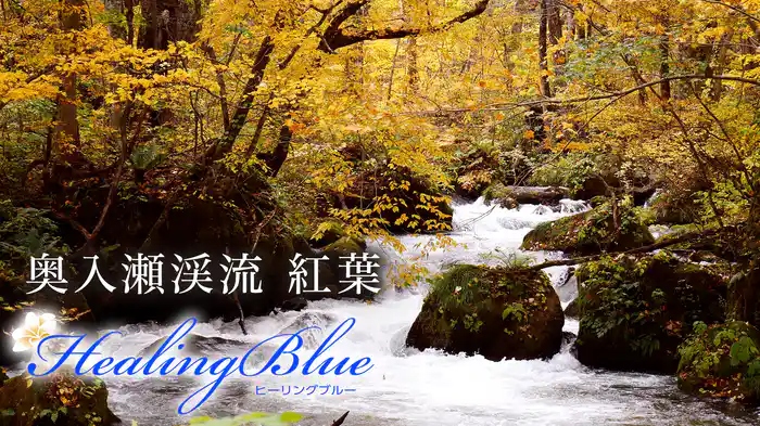 奥入瀬渓流 紅葉【HealingBlue】