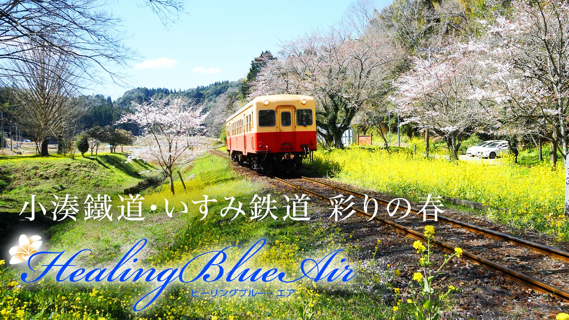 小湊鐵道・いすみ鉄道 彩りの春【HealingBlueAir】