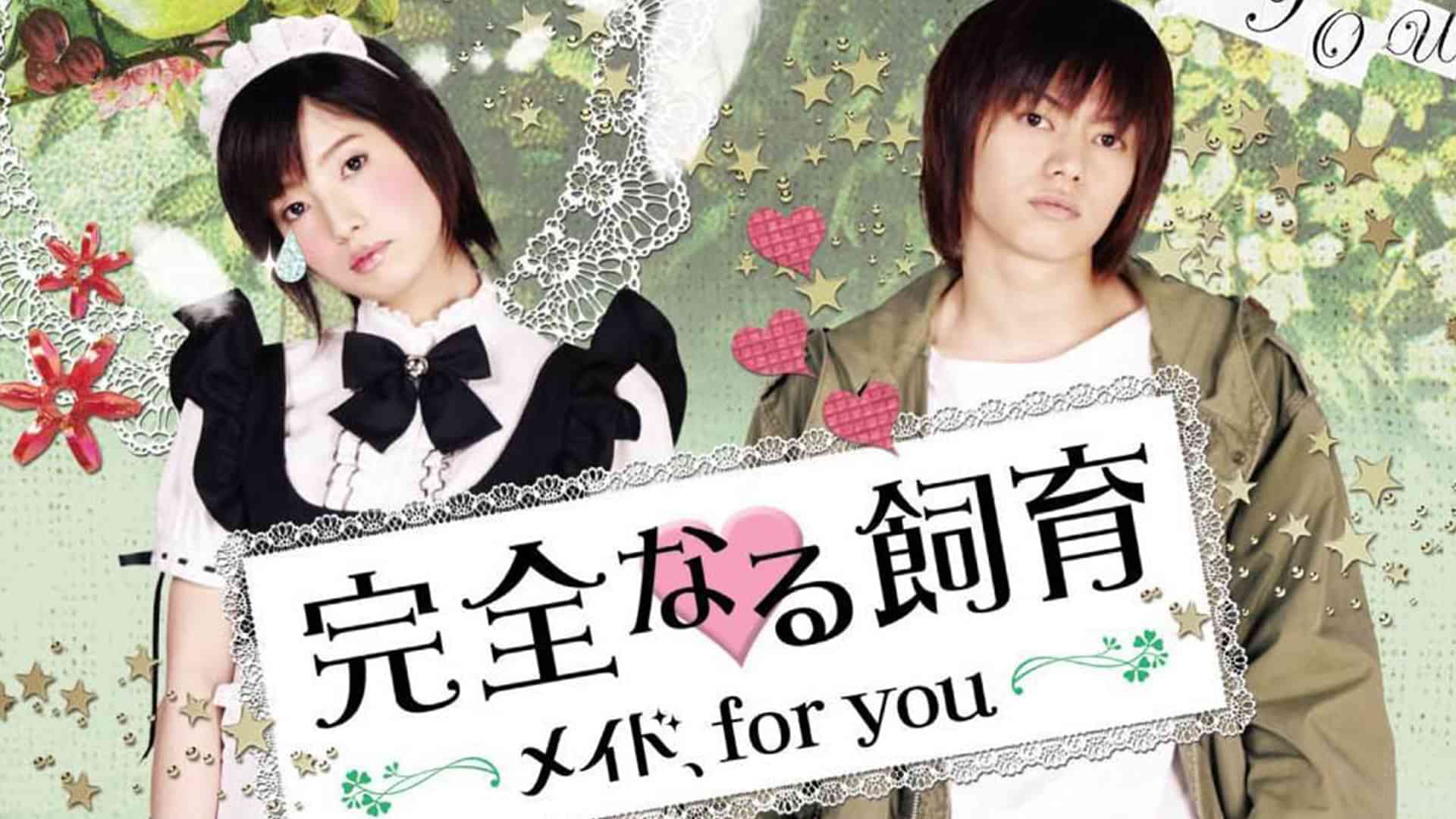 完全なる飼育　メイド、for you