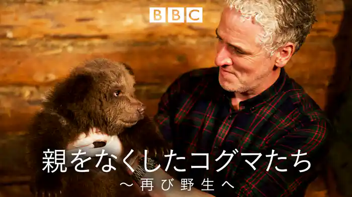 親をなくしたコグマたち～再び野生へ