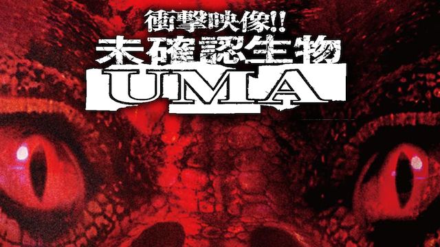 衝撃映像!!未確認生物UMA