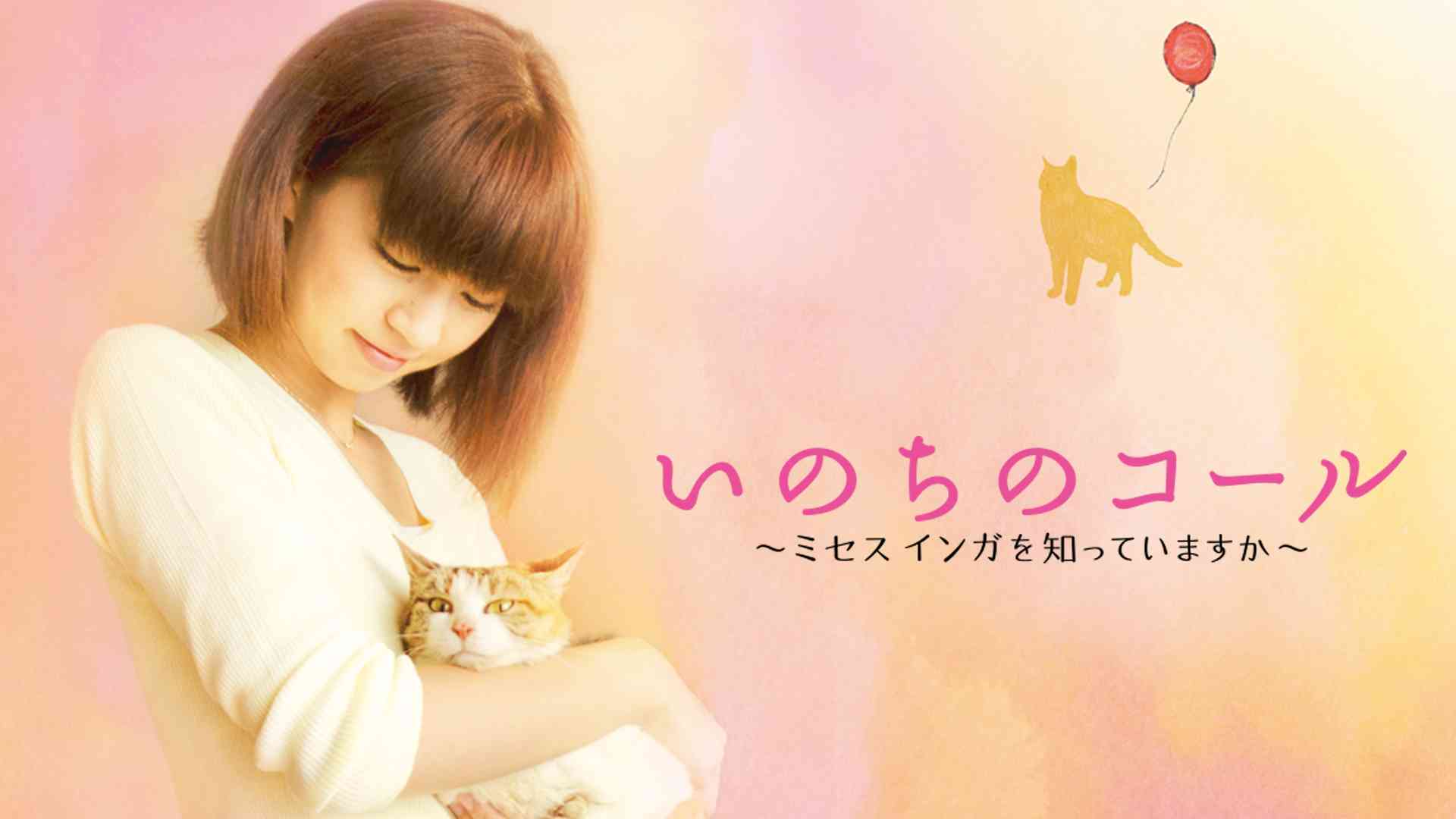 中野良子の出演vod情報一覧 中野良子の出演vod情報一覧