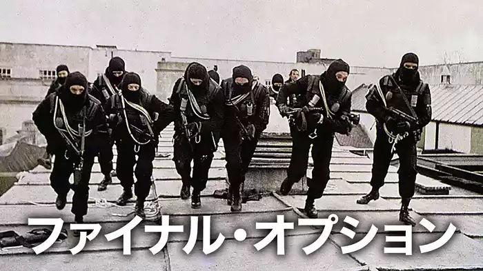 ファイナル・オプション