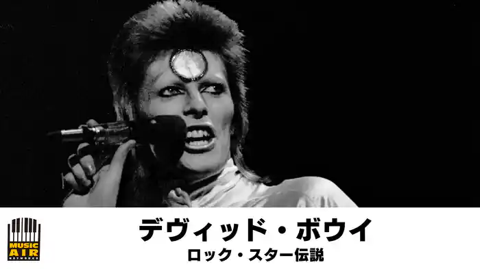 デヴィッド・ボウイ：ロック・スター伝説