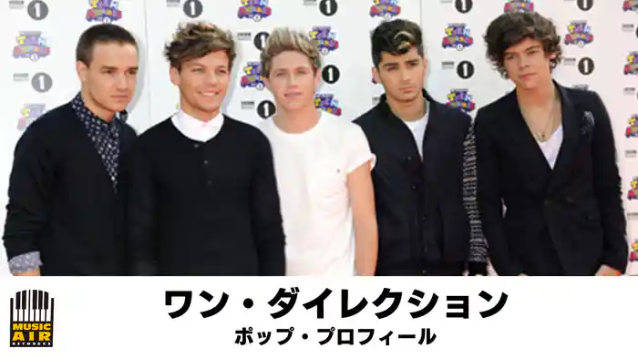 ワン・ダイレクション：ポップ・プロフィール
