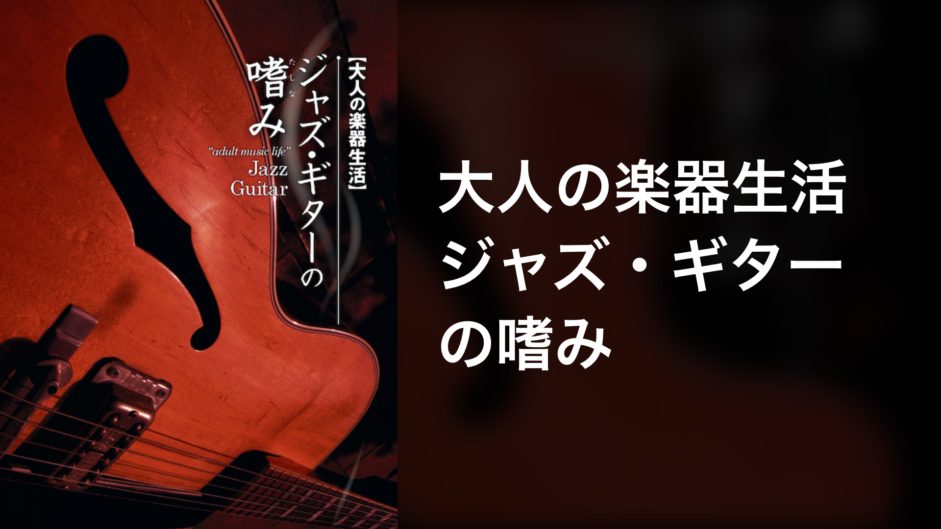 大人の楽器生活 アコースティック・ブルース・ギターの嗜み／野村大輔 - DVD