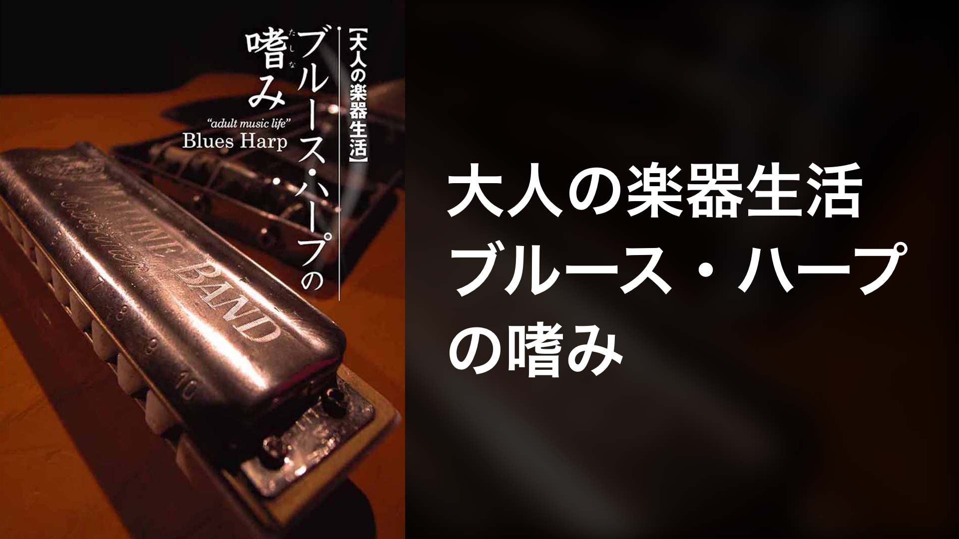 大人の楽器生活 ブルース ハープの嗜み 音楽 ライブ 07 の動画視聴 U Next 31日間無料トライアル