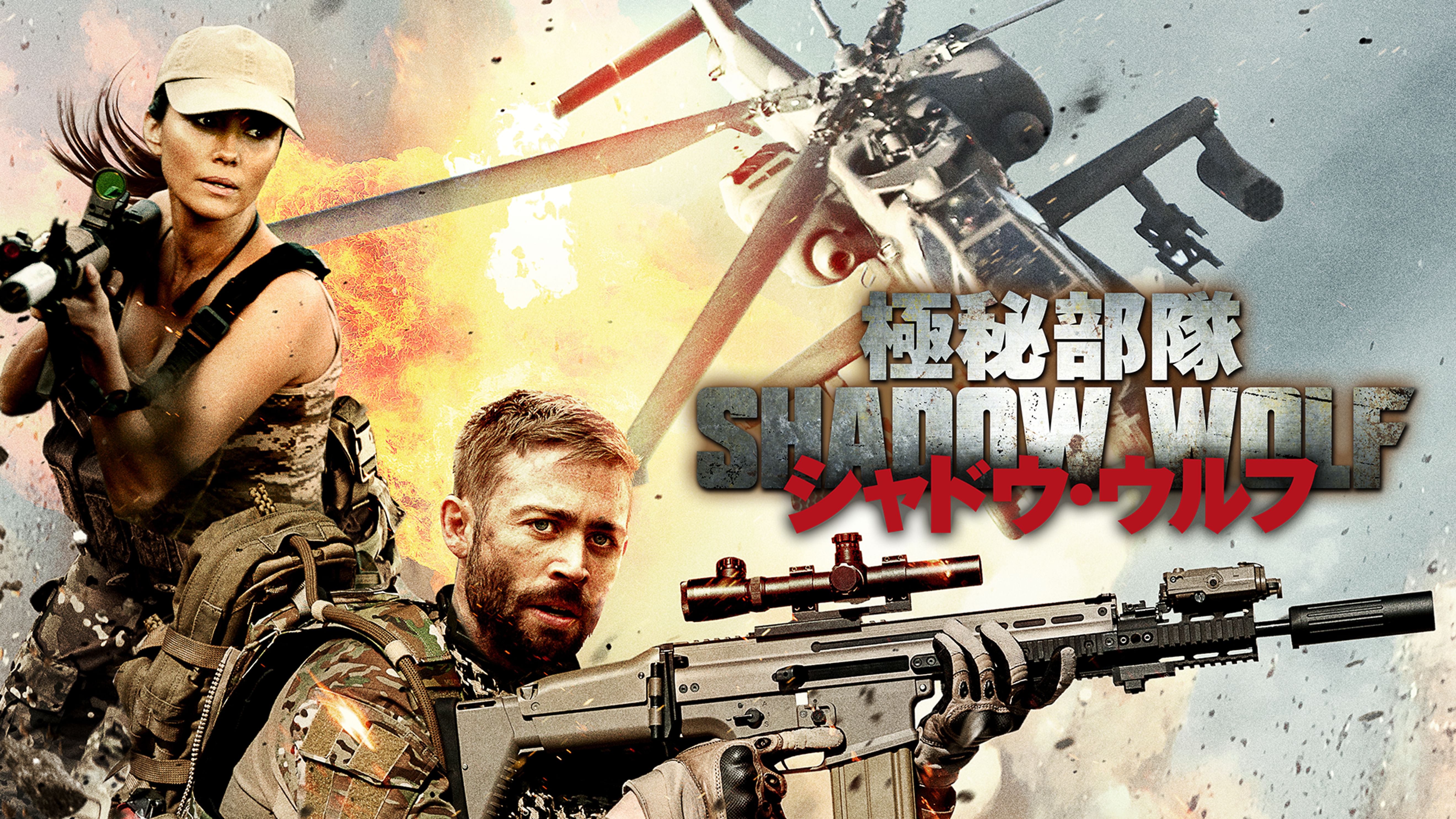 トーマス ギブソンの動画視聴 あらすじ U Next