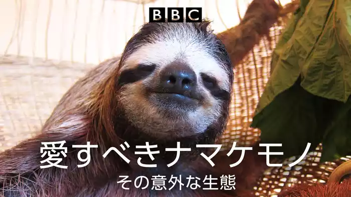 愛すべきナマケモノ　その意外な生態