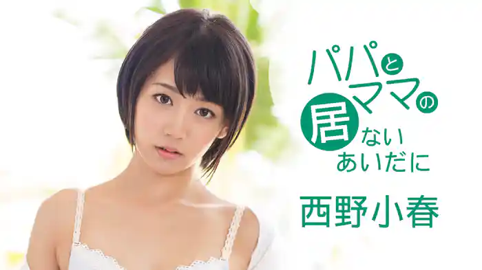 西野小春『パパとママの居ないあいだに』