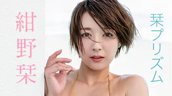 紺野栞 『栞プリズム』