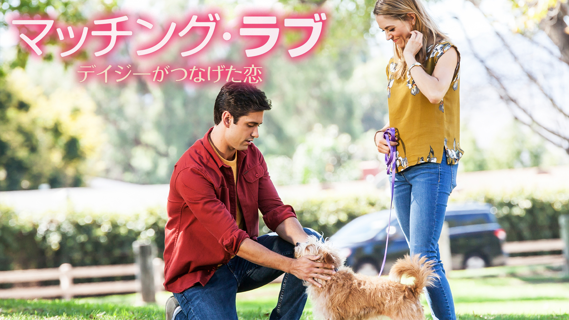 マッチング・ラブ　デイジーがつなげた恋 - サムネイル