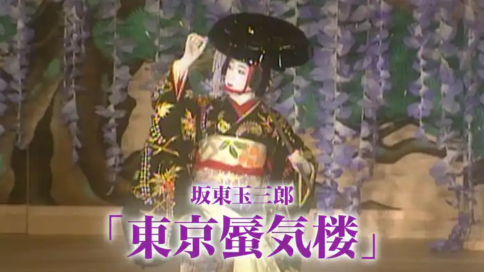 坂東玉三郎｢東京蜃気楼｣