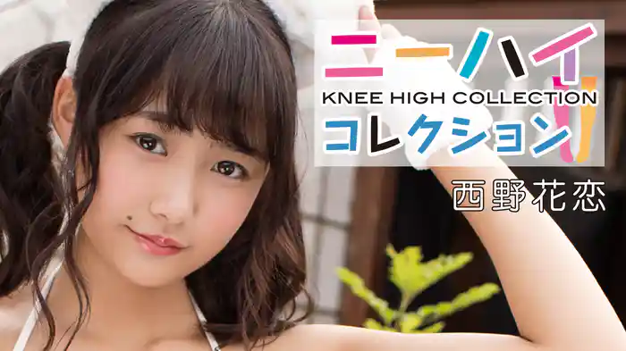 西野花恋『ニーハイコレクション』