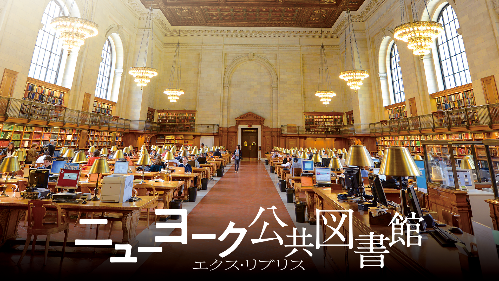 ニューヨーク公共図書館　エクス・リブリスのあらすじ・口コミ