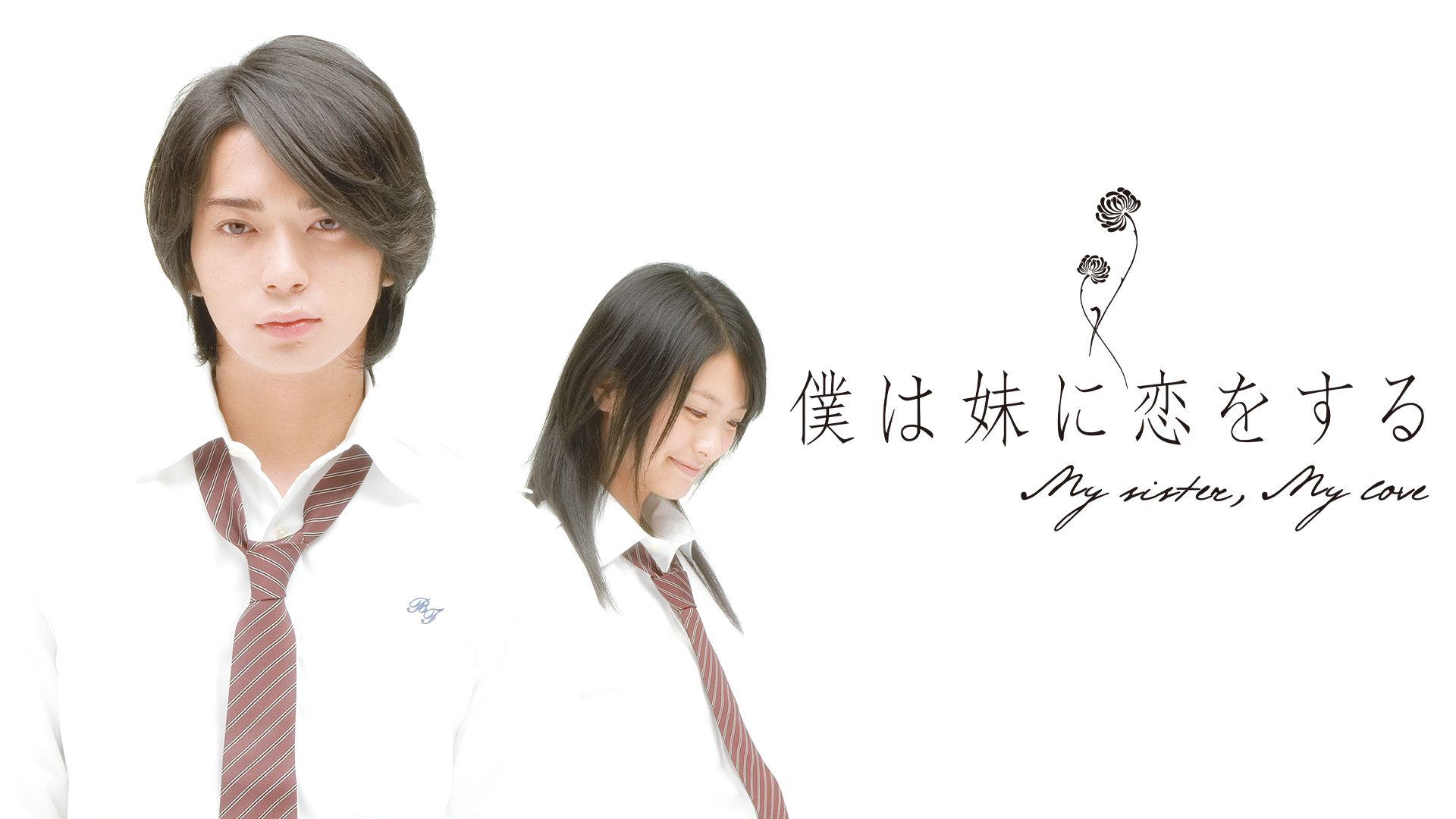 僕は妹に恋をする(実写版)