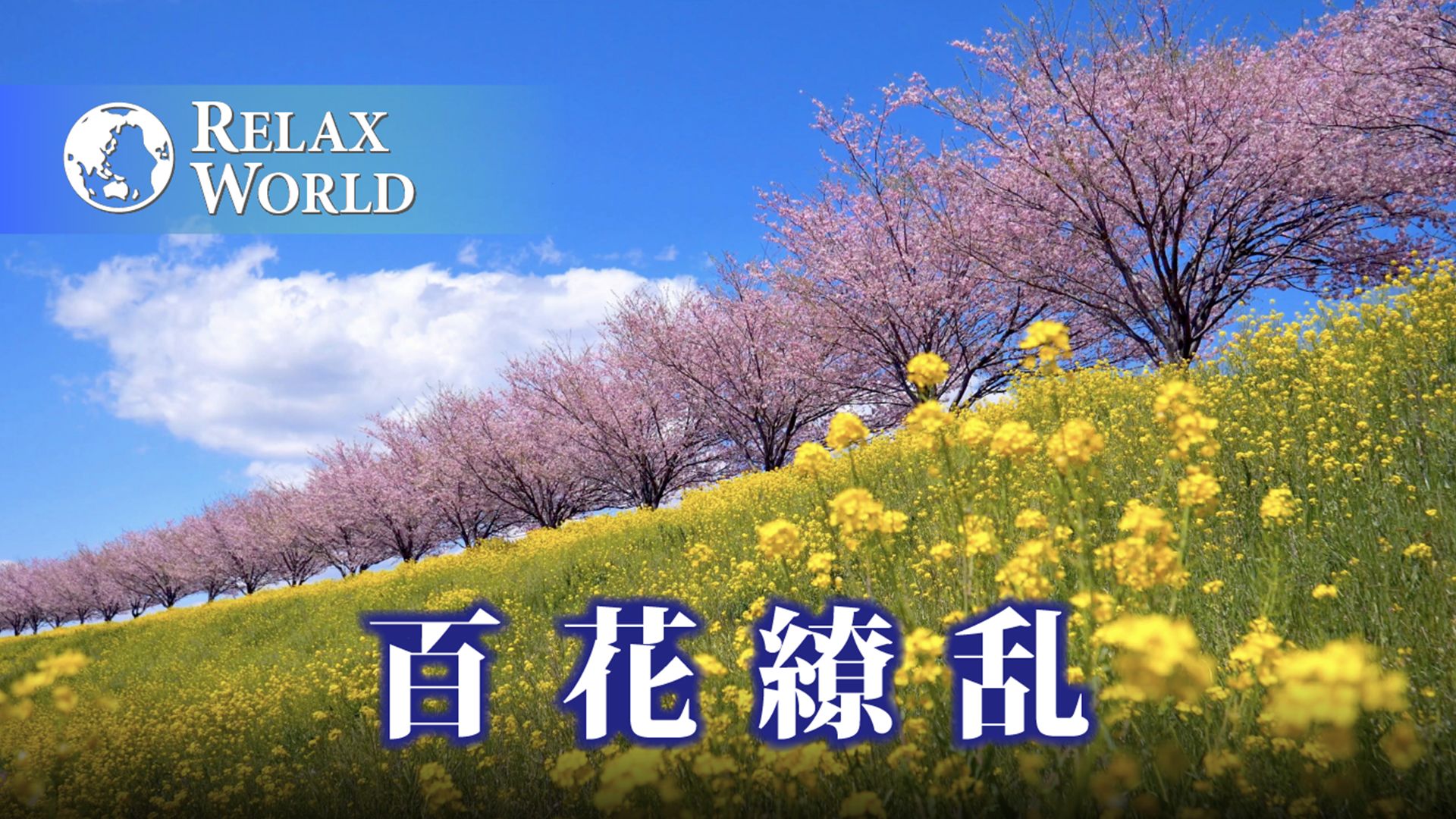 百花繚乱【RELAX WORLD】