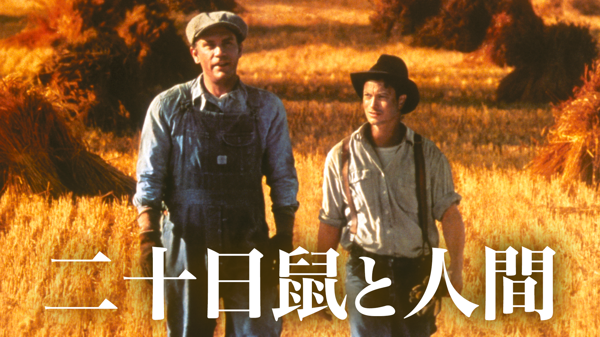 二十日鼠と人間 - サムネイル