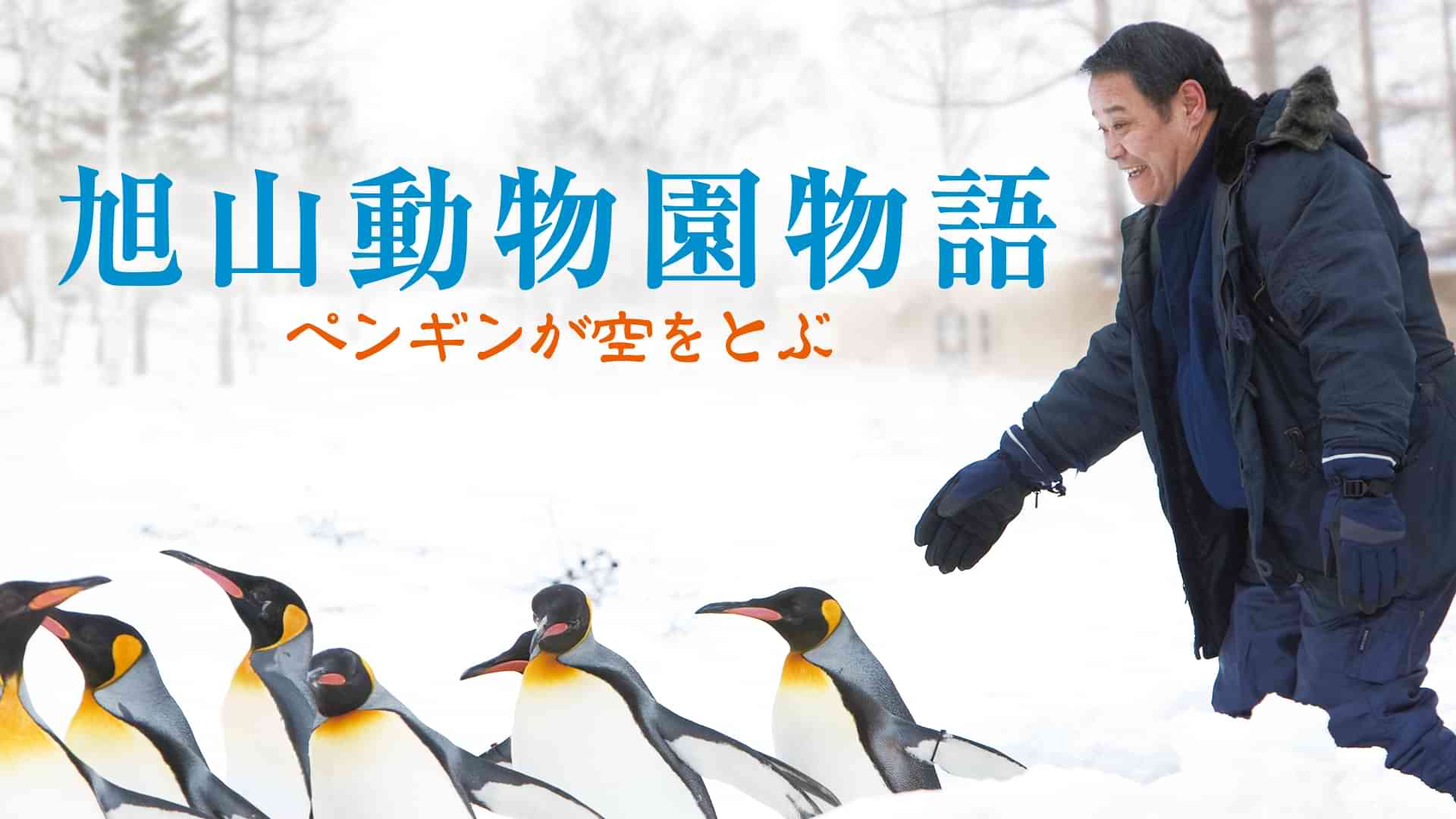 旭山動物園物語 ペンギンが空をとぶ