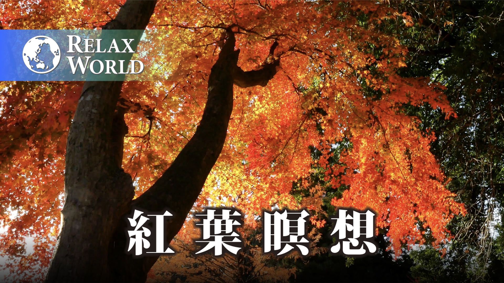 紅葉瞑想【RELAX WORLD】