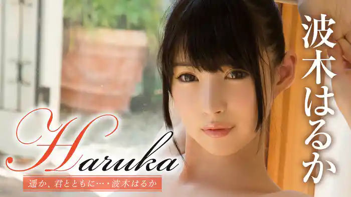 波木はるか『Haruka 遥か、君とともに…』