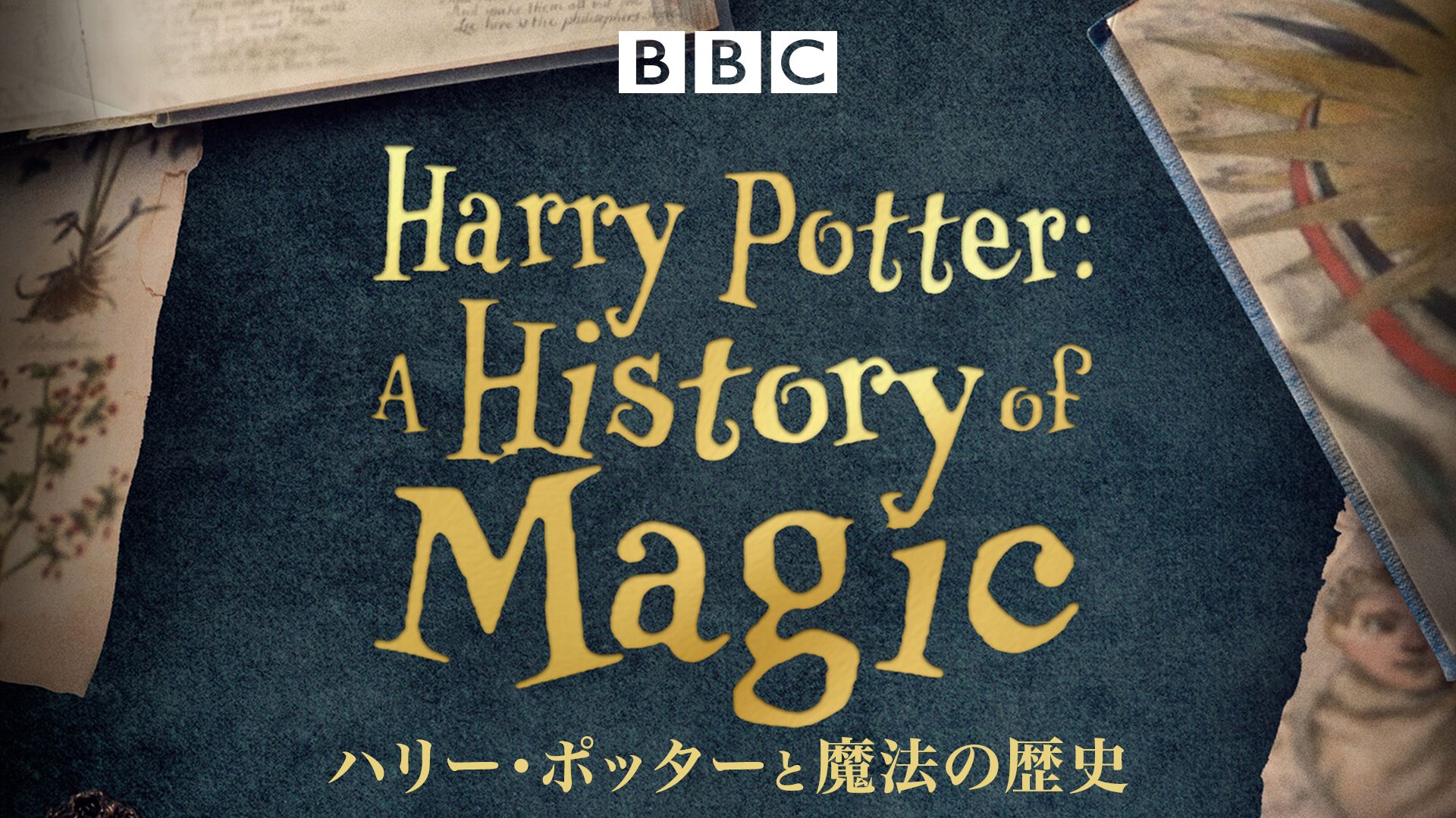 ハリー・ポッターと魔法の歴史